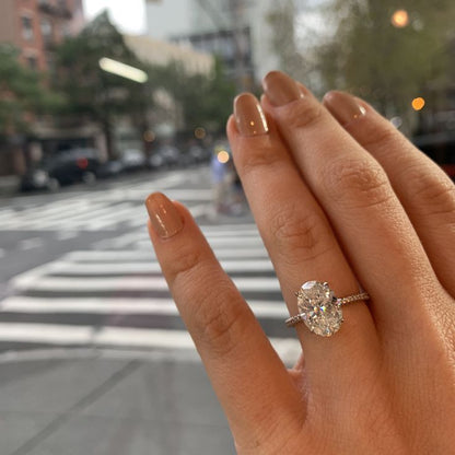 Côrte Ring