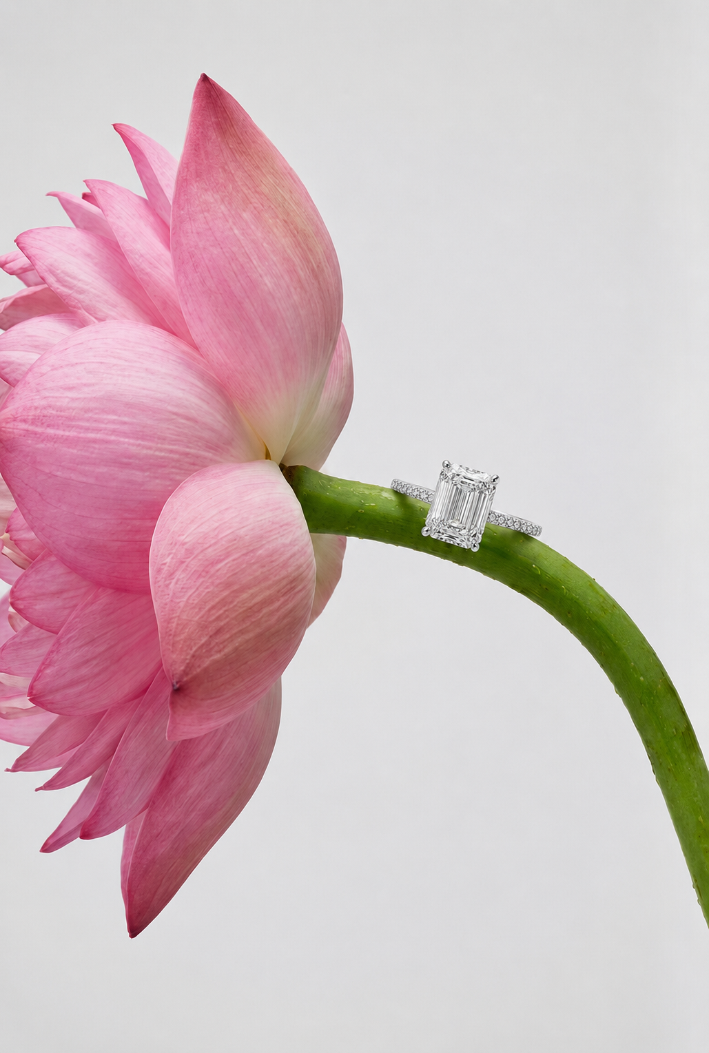 Saryah Ring