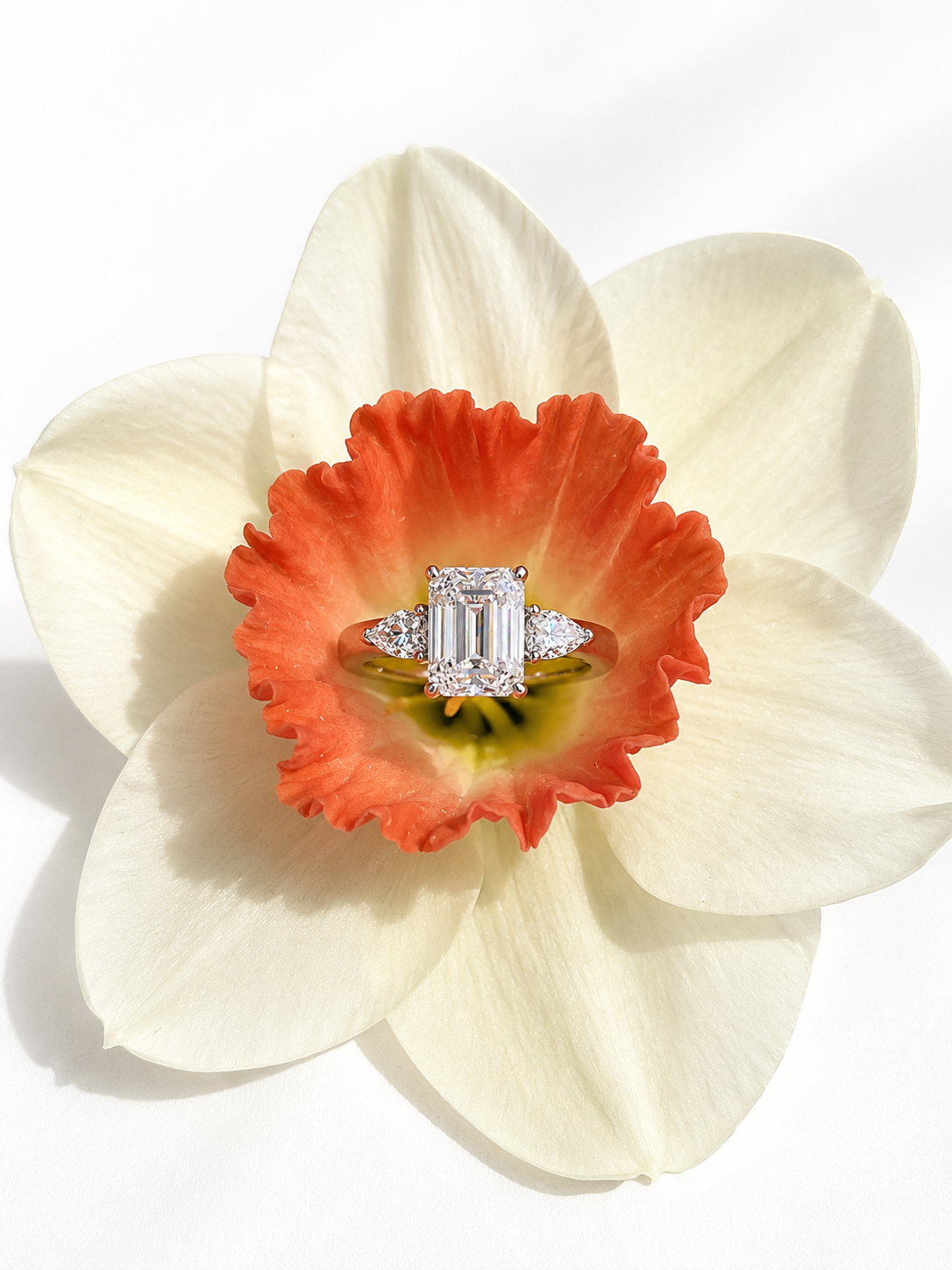 Yama Ring