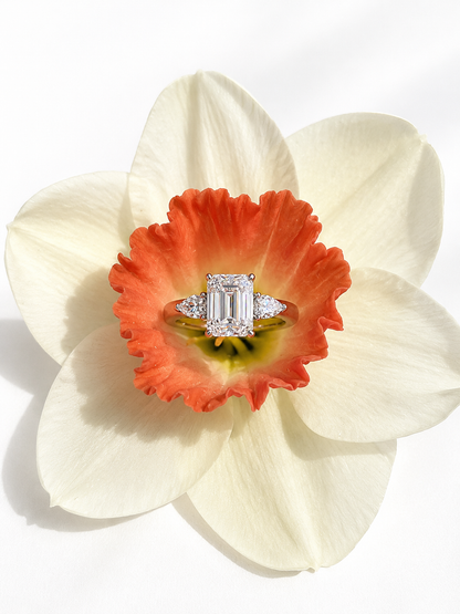 Yama Ring