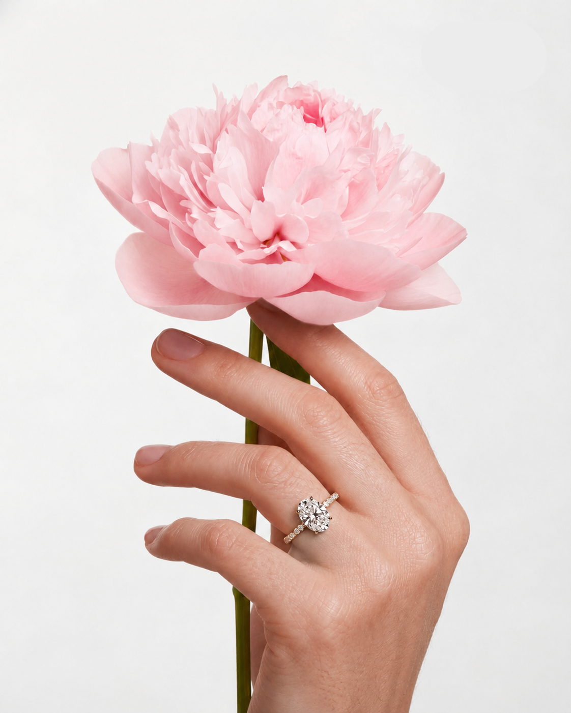 Côrte Ring