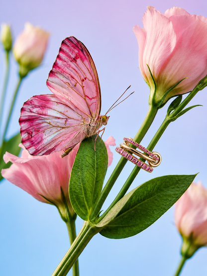 Interllacium Pink Ring